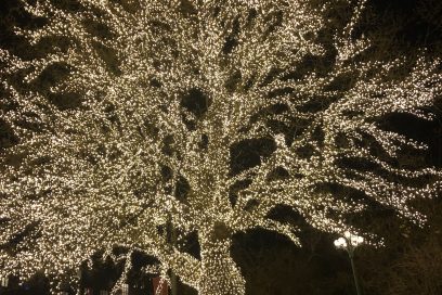 Dancespace tar vinterferie 22 – 27 februar